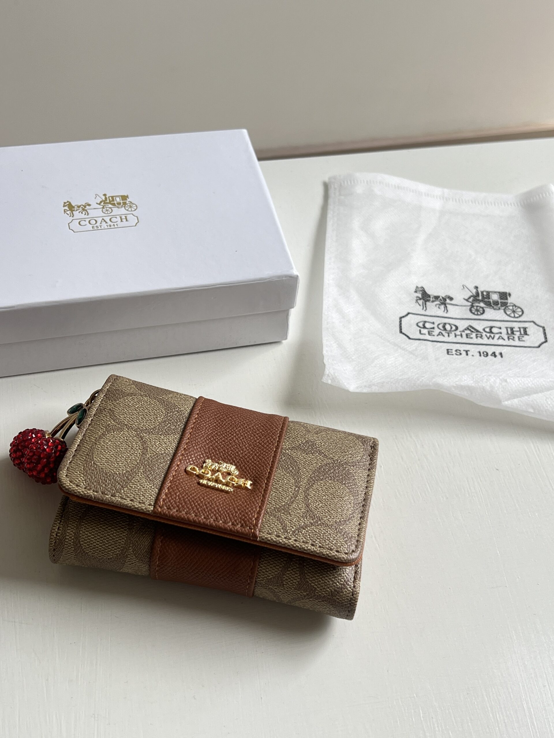 BILLETERA COACH - Image 3