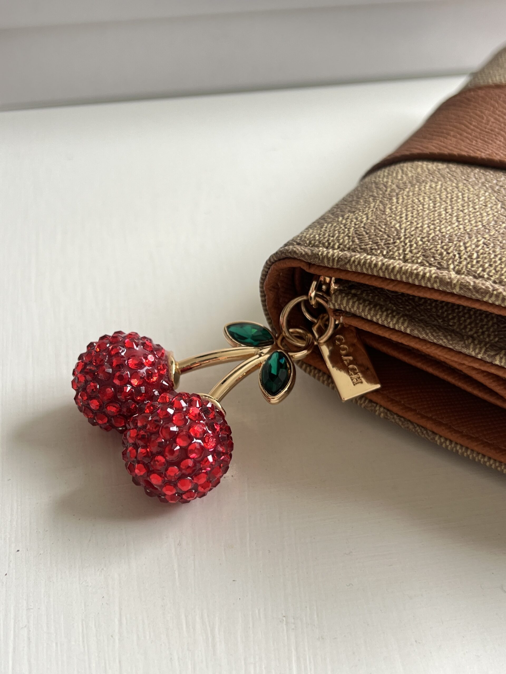 BILLETERA COACH - Image 2