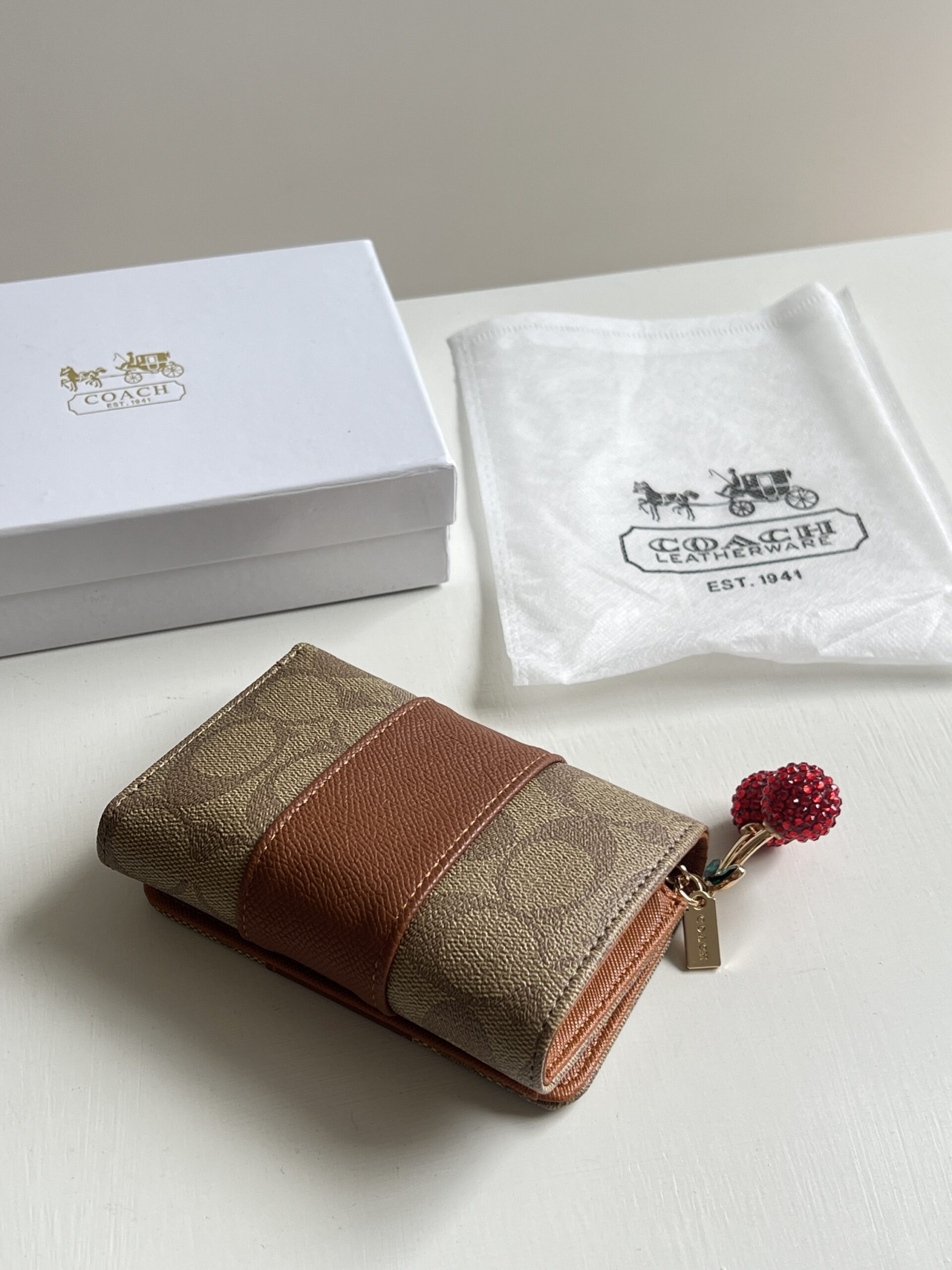 BILLETERA COACH - Image 5